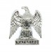 Royal Scots Greys Anodised (Staybrite) Collar Badge