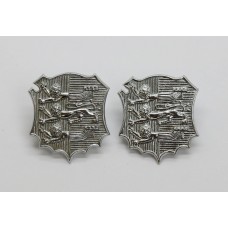 Pair of Hasting Borough Police Collar Badges (2nd Pattern)