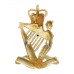 Royal Irish Rangers Anodised (Staybrite) Cap Badge