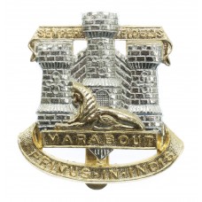Devon & Dorset Regiment Anodised (Staybrite) Cap Badge
