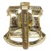 Devon & Dorset Regiment Anodised (Staybrite) Cap Badge