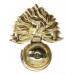 Royal Regiment of Fusiliers Anodised (Staybrite) Cap Badge