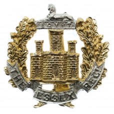 Essex Regiment Anodised (Staybrite) Cap Badge