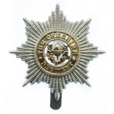 Cheshire Regiment Anodised (Staybrite) Cap Badge