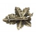 WWI Battle of Bethune Sweetheart Brooch