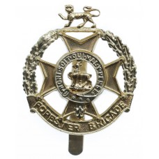 Forester Brigade Anodised (Staybrite) Cap Badge