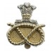 Staffordshire Regiment Anodised (Staybrite) Cap Badge