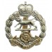 Royal Hampshire Regiment Anodised (Staybrite) Cap Badge