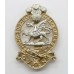 Queen's Royal Regiment Anodised (Staybrite) Cap Badge 