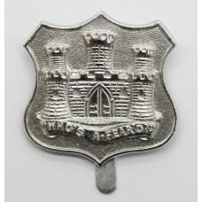 Dorsetshire Territorials Anodised (Staybrite) Cap Badge