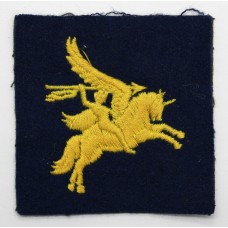 6th Field Force Cloth Formation Sign
