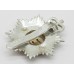 Royal Corps of Transport Anodised (Staybrite) Cap Badge