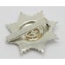 Cheshire Regiment Anodised (Staybrite) Cap Badge