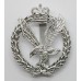 Army Air Corps Anodised (Staybrite) Cap Badge