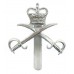 Army Physical Training Corps (A.P.T.C.) Anodised (Staybrite) Cap Badge