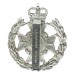 The Robin Hood Bn. Sherwood Foresters Anodised (Staybrite) Cap Badge