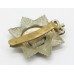 Devonshire Regiment Cap Badge - Queen's Crown