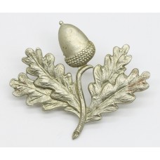 South Notts Hussars Cap Badge