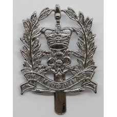 Hampshire Constabulary Constable's Cap Badge - Queen's Crown