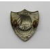 Rare Victorian Newport Police (Isle of Wight) Collar Badge