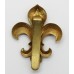 Manchester Regiment Cap Badge