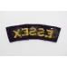 Essex Regiment (ESSEX) Cloth Shoulder Title