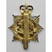 Gloucestershire & Hampshire Regiment Anodised (Staybrite) Cap Badge