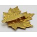 Canadian Forces Cadet Instructors Cadre Cap Badge