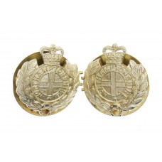 Pair of Northamptonshire Regiment Anodised (Staybrite) Collar Badges