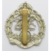 Royal Hampshire Regiment Cap Badge - King's Crown