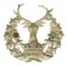 Gordon Highlanders Cap Badge