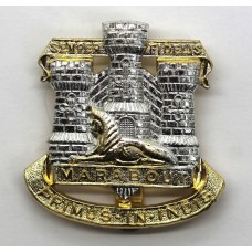 Devon & Dorset Regiment Anodised (Staybrite) Cap Badge