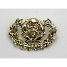 Royal Hampshire Regiment Anodised (Staybrite) Collar Badge