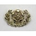 Royal Hampshire Regiment Anodised (Staybrite) Collar Badge