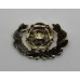 Royal Hampshire Regiment Anodised (Staybrite) Collar Badge