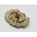 Royal Hampshire Regiment Anodised (Staybrite) Collar Badge