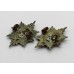 Pair of Worcestershire Regiment Collar Badges