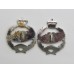 Pair of Royal Tank Regiment Anodised (Staybrite) Collar Badges - Queen's Crown