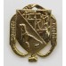 Falkland Islands Defence Force Cap Badge