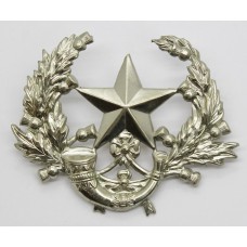 Cameronians (Scottish Rifles) Cap Badge