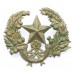 Cameronians (Scottish Rifles) Cap Badge