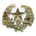 Cameronians (Scottish Rifles) Cap Badge