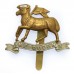 The Queen's (Royal West Surrey) Regiment Cap Badge