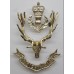 Queen's Own Highlanders Officer's Glengarry Badge