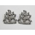 Pair of Devon and Exeter Joint Constabulary Collar Badges