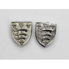 Pair of Essex and Southend-on-Sea Police Collar Badges