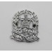 Hampshire Constabulary Collar Badge - Queen's Crown