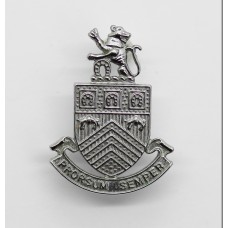 Gloucestershire Constabulary Collar Badge