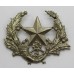 Cameronians (Scottish Rifles) Cap Badge