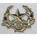 Cameronians (Scottish Rifles) Cap Badge